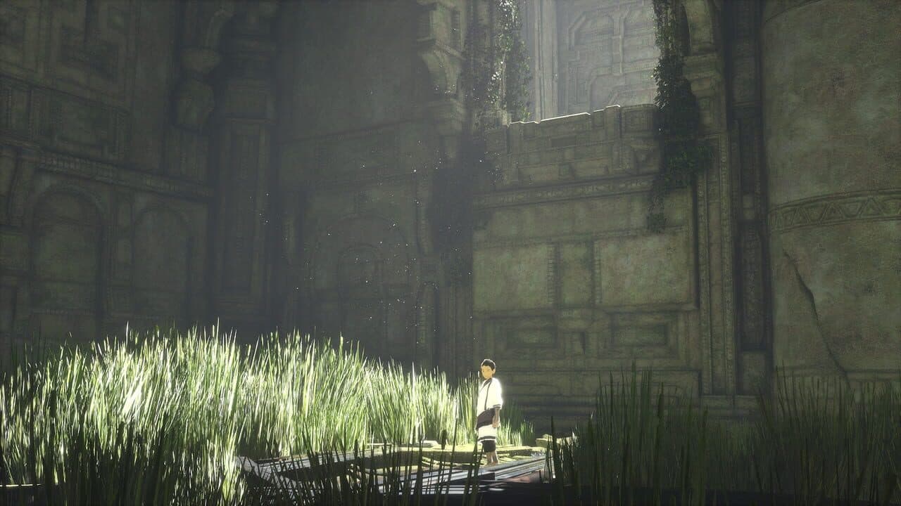 The Last Guardian Hero