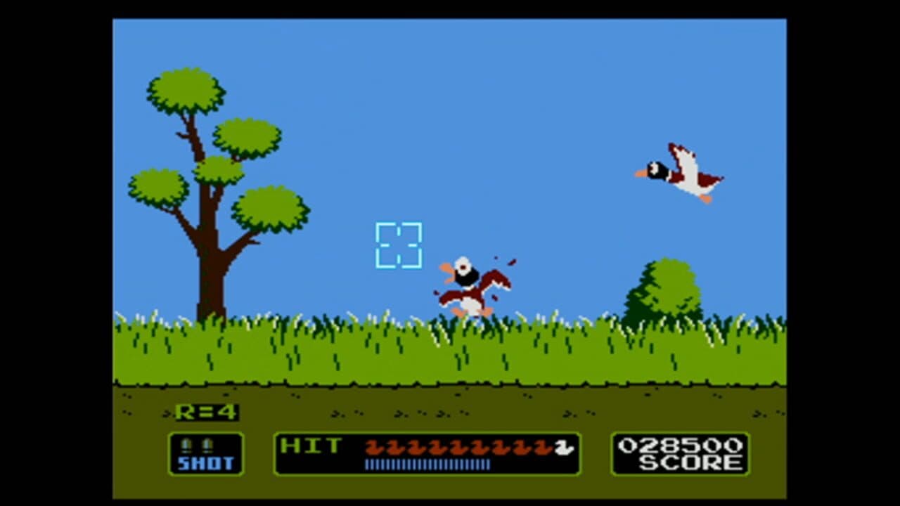 Duck Hunt Hero