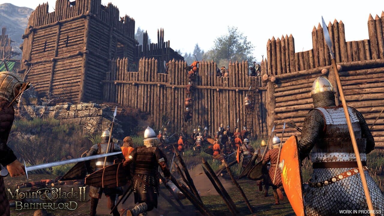 Mount & Blade II: Bannerlord Hero