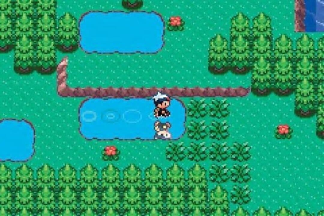 Pokémon Sapphire Version Hero