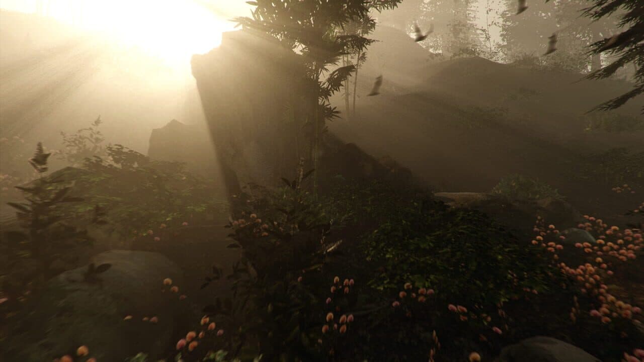The Forest Hero