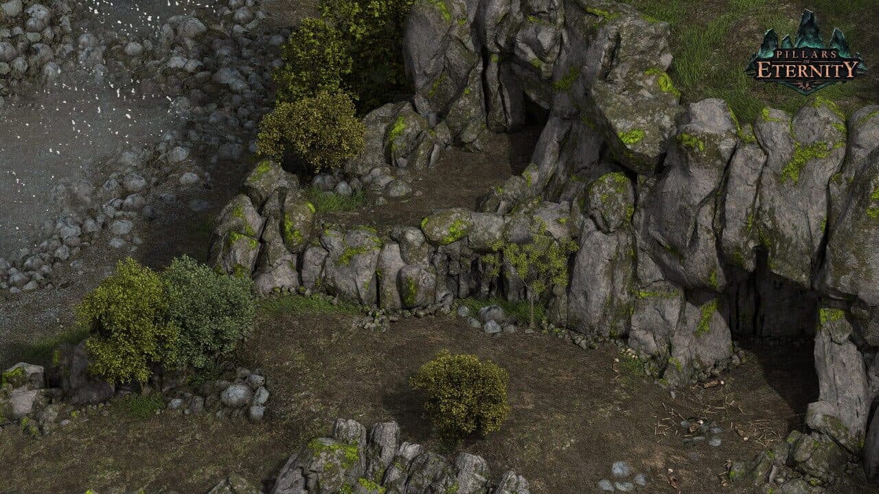Pillars of Eternity Hero
