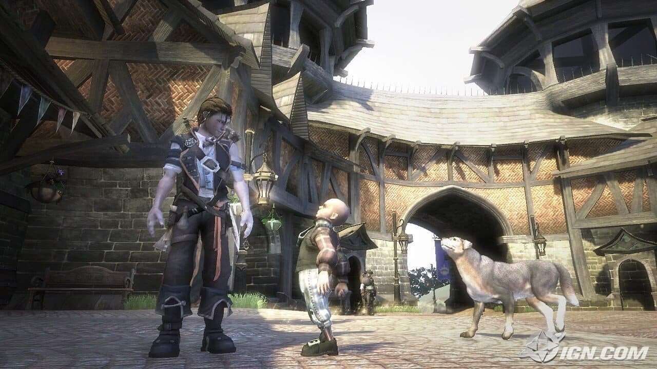 Fable II Hero