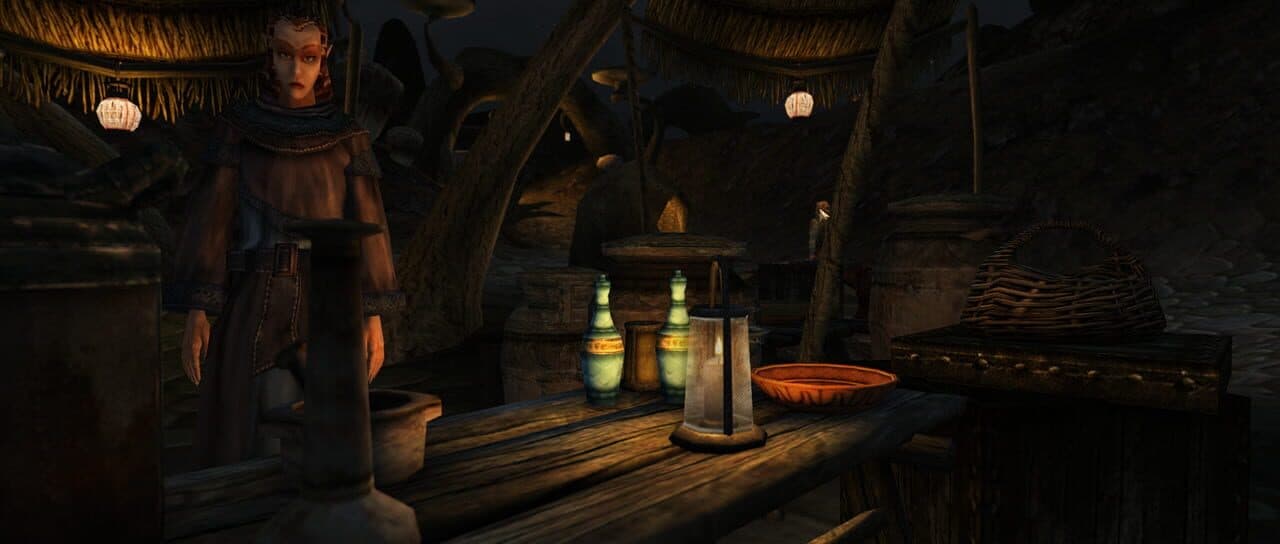 The Elder Scrolls III: Morrowind Hero