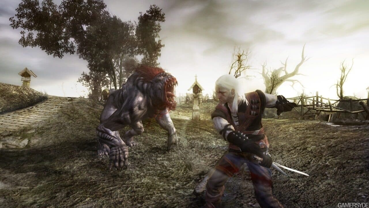 The Witcher Hero