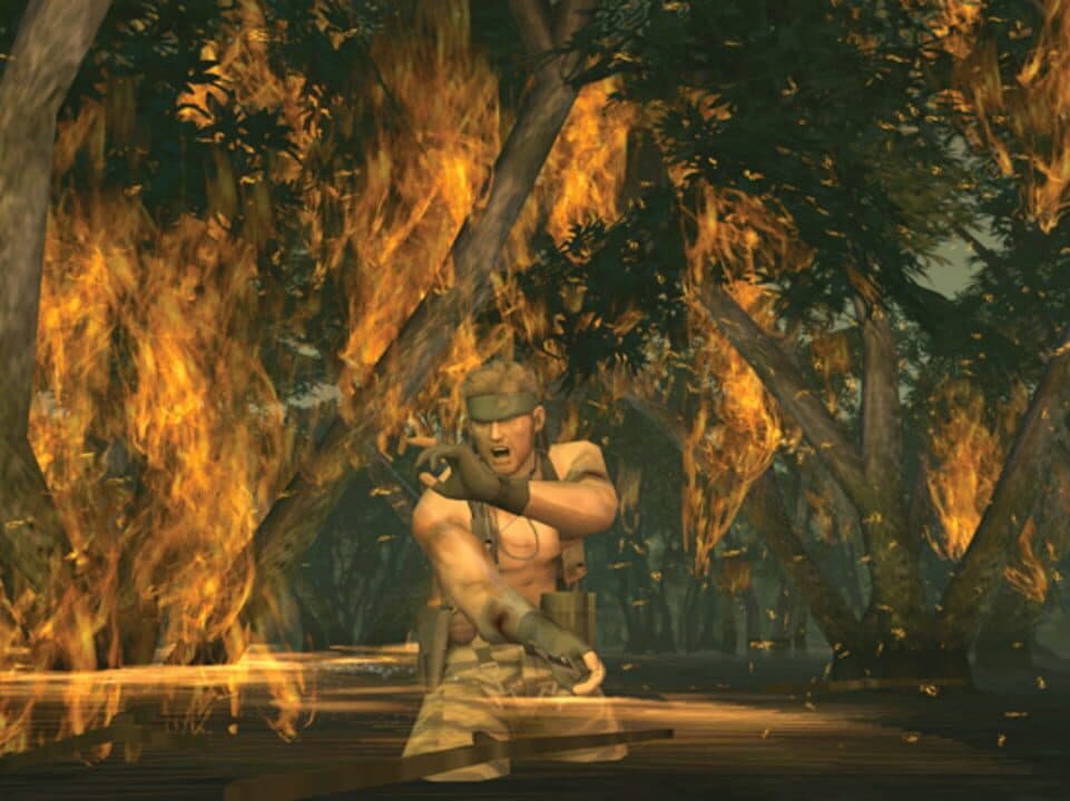 Metal Gear Solid 3: Snake Eater Hero