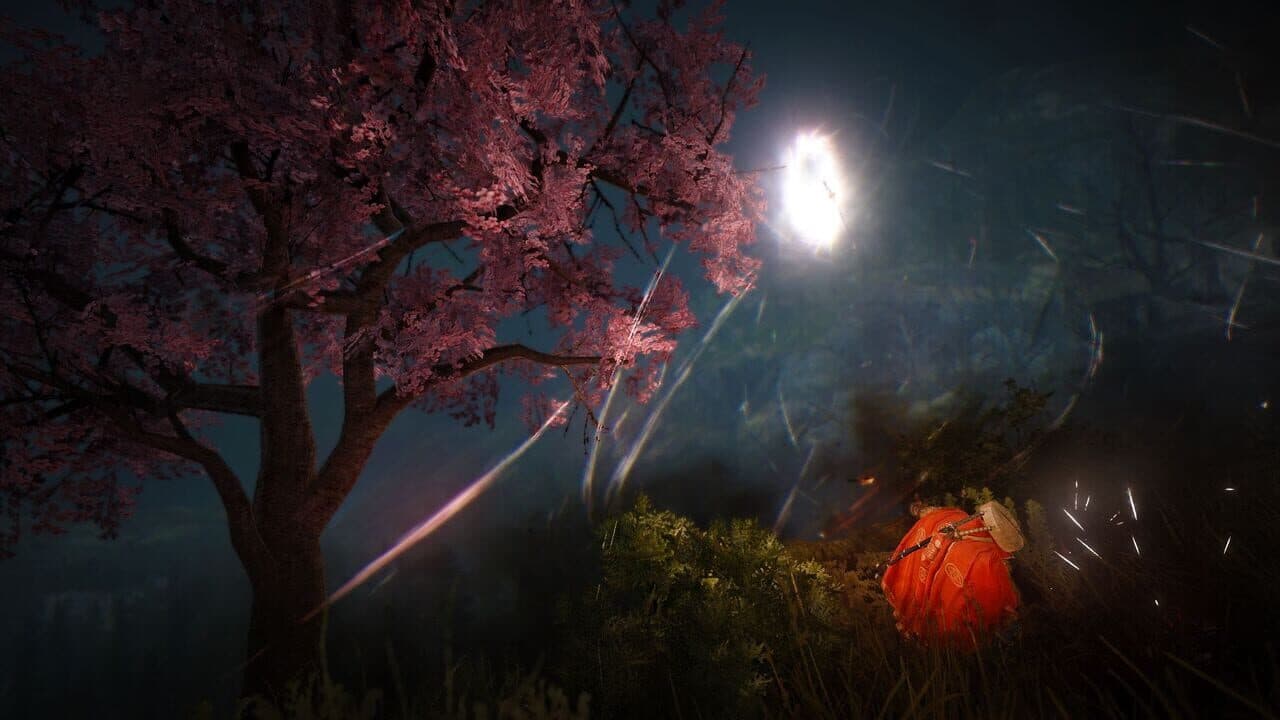 Black Desert Hero