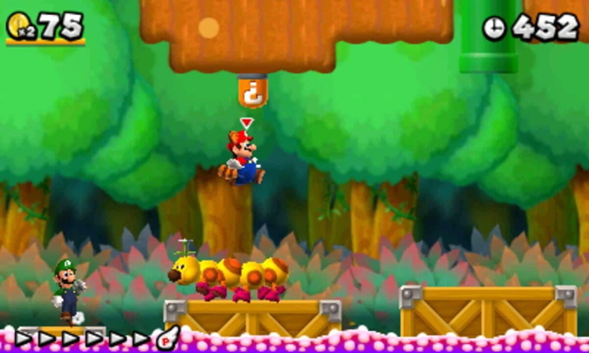 New Super Mario Bros. 2 Hero