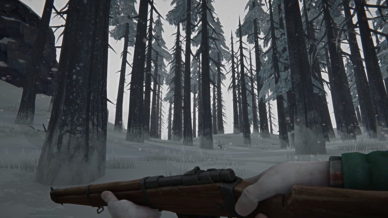 The Long Dark Hero