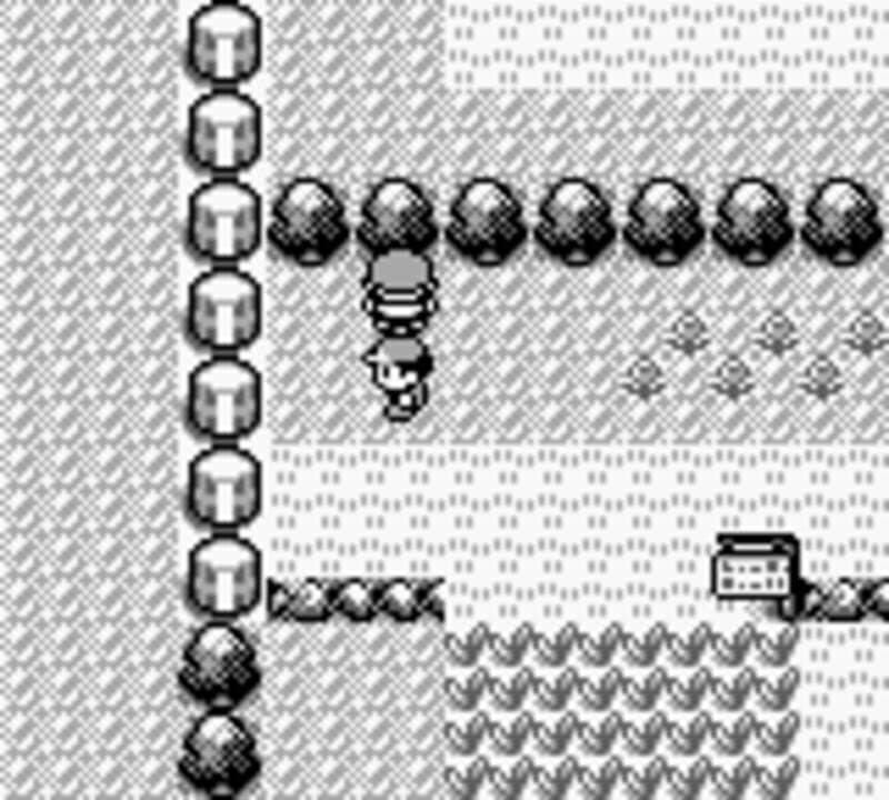 Pokémon Red Version Hero