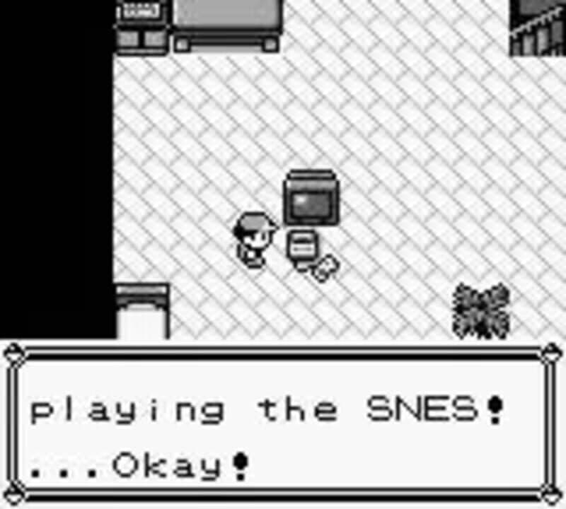 Pokémon Blue Version Hero