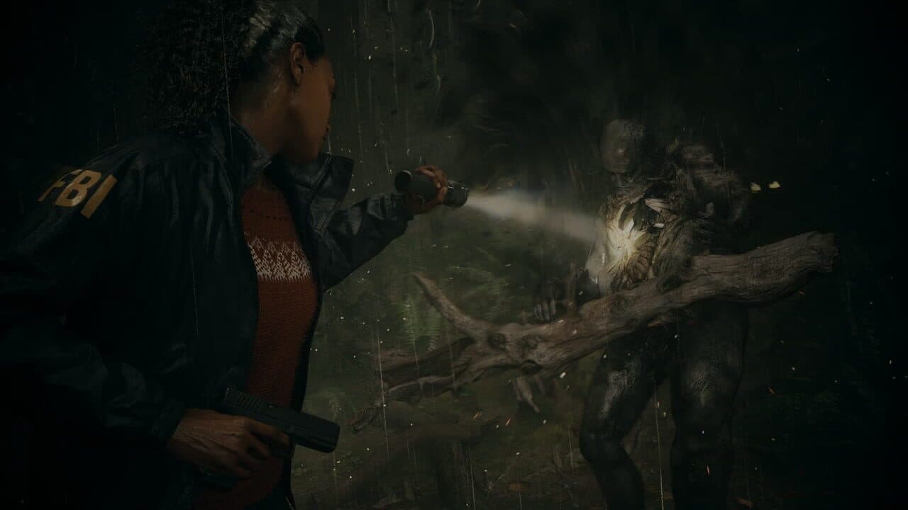 Alan Wake II Hero
