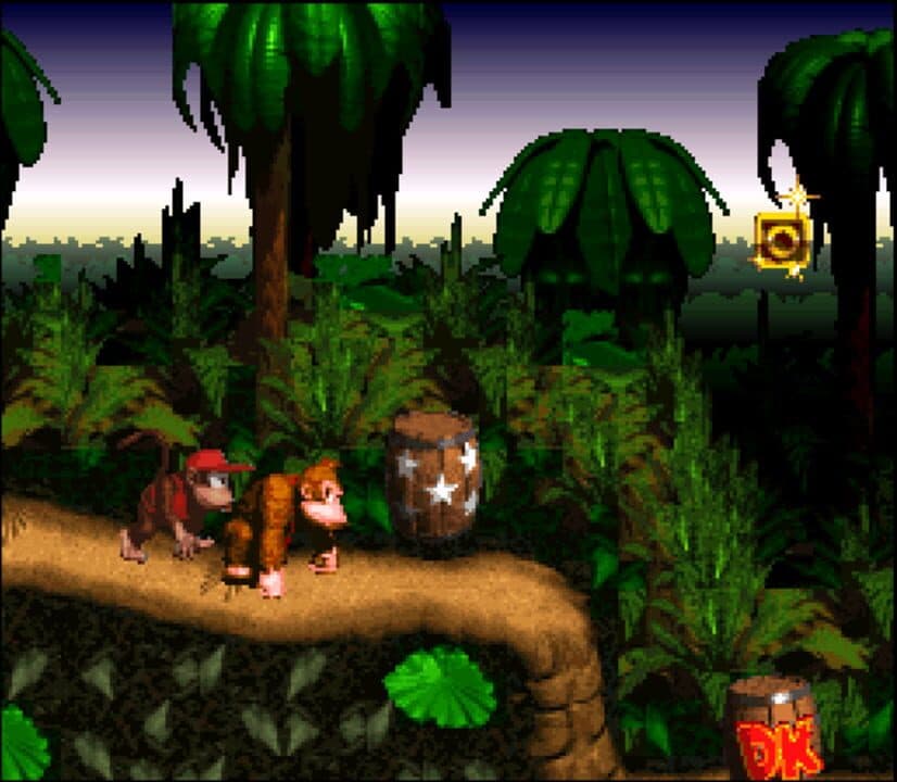 Donkey Kong Country Hero