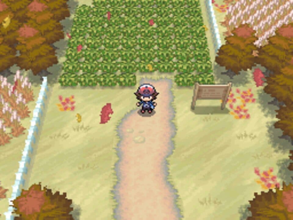 Pokémon Black Version Hero