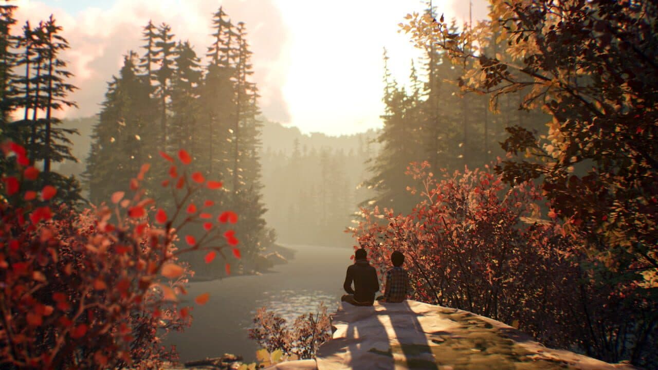 Life Is Strange 2 Hero