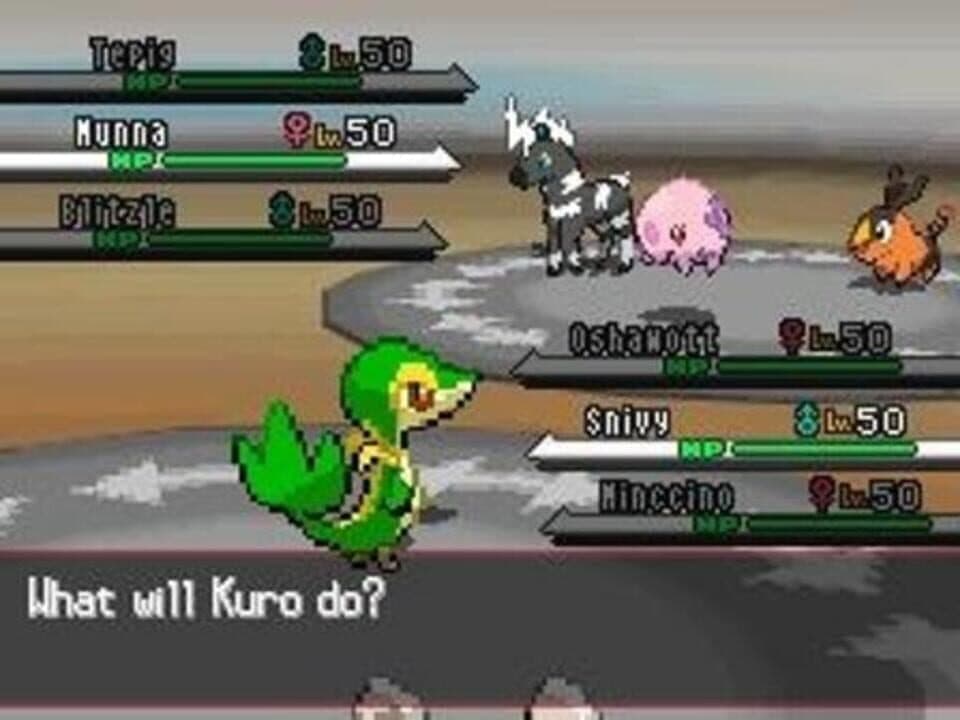 Pokémon White Version Hero