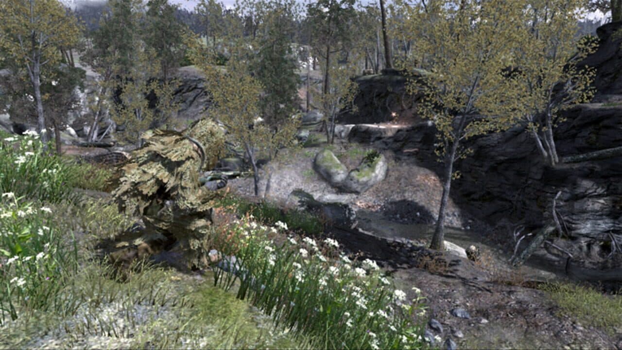 Call of Duty 4: Modern Warfare Hero
