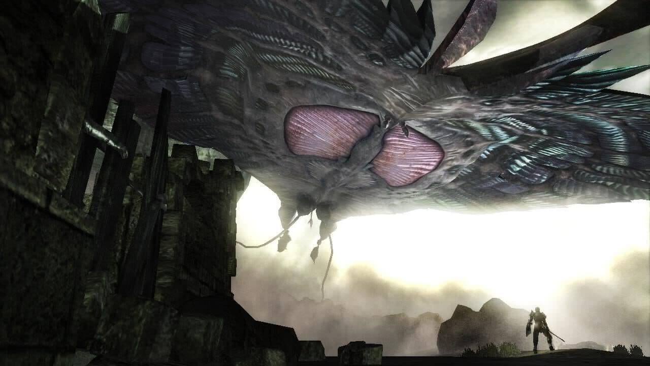 Demon's Souls Hero