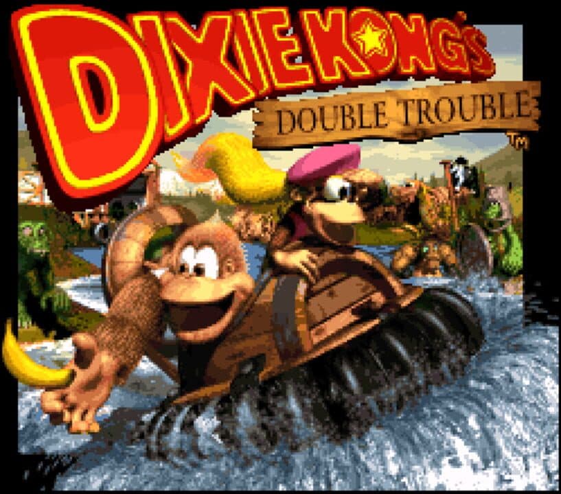 Donkey Kong Country 3: Dixie Kong's Double Trouble! Hero
