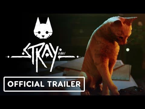 Release Date Trailer