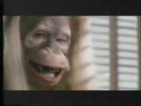 TV commercial