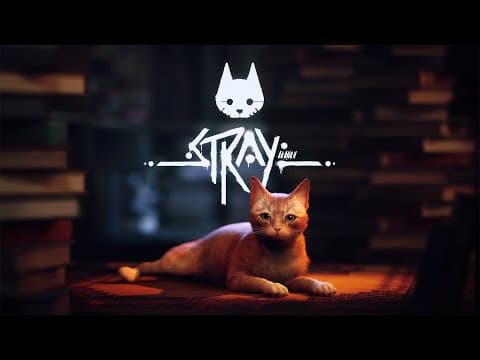 Release Date Trailer