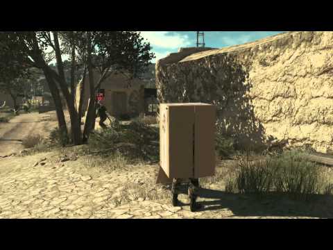Trailer