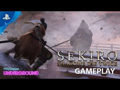 Gameplay video