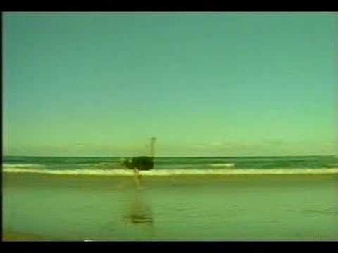 JP TV Commercial